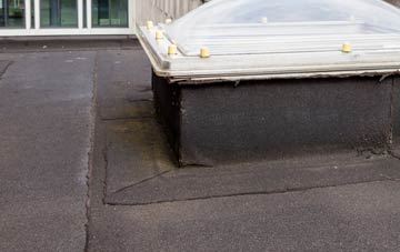 disadvantages of Wallington Heath flat roofs