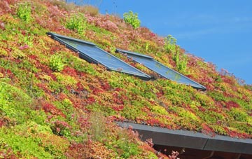 Wallington Heath living roof systems