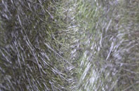 Wallington Heath fibreglass roof work